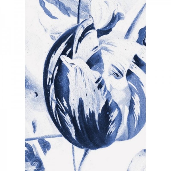 Carta da Parati WP-208 Wall Mural Royal Blue Flowers 2 - KEK AMSTERDAM