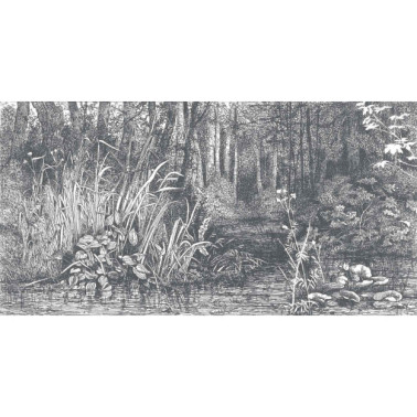 Papel de parede BUSHY-WOODS DOM1516 - LES DOMINOTIERS