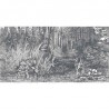 Carta da Parati BUSHY-WOODS DOM1516 - LES DOMINOTIERS