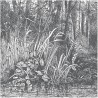 Carta da Parati BUSHY-WOODS DOM1516 - LES DOMINOTIERS