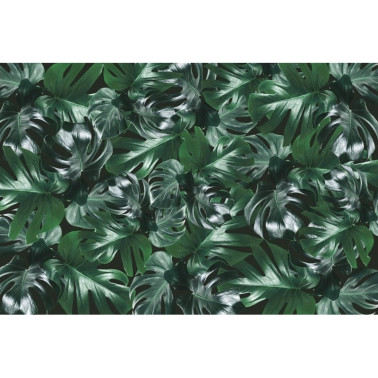 Papel de parede R13042 Welcome to the Jungle, Authentic - REBEL WALLS