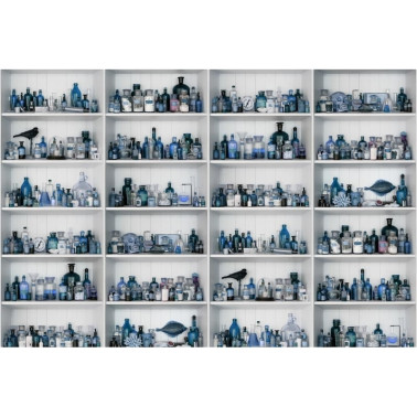 Papel Pintado R14183 Cabinet of Curios, Sapphire - REBEL WALLS