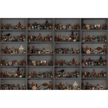 Papier peint R14184 Cabinet of Curios, Night - REBEL WALLS