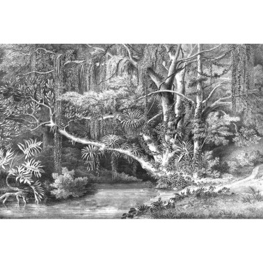 Papel de parede R16851 Secret Well - REBEL WALLS