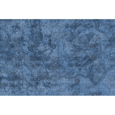 Papel de parede R16921 Star Map - REBEL WALLS