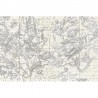 Carta da Parati R16922 Star Map, White - REBEL WALLS