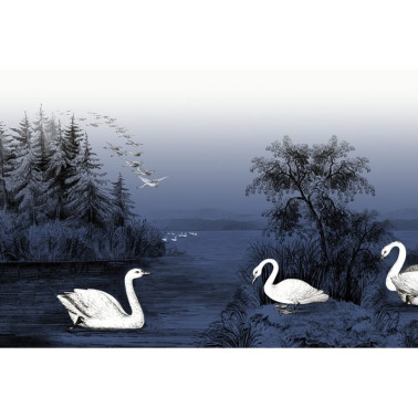 Papier peint R16222 Swan Lake, Nightfall - REBEL WALLS