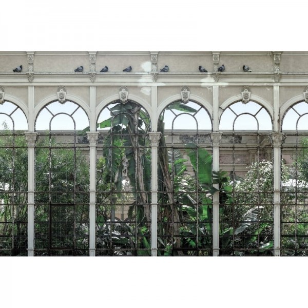 Papel de parede R16261 Dove Gardens - REBEL WALLS Papel de parede R16261 Dove Gardens - REBEL WALLS