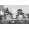 Wallpaper R16221 Swan Lake - REBEL WALLS