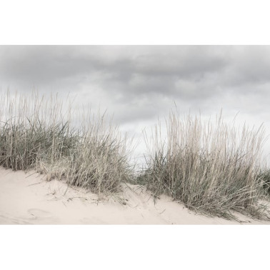 Tapete R16341 Pale Shore - REBEL WALLS