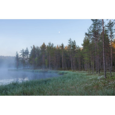 Papel de parede R16421 Forest Lake - REBEL WALLS