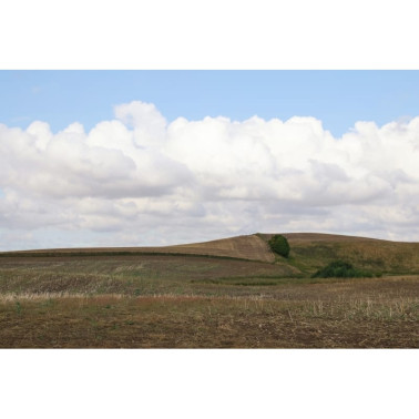 Tapete R16481 Cropland - REBEL WALLS