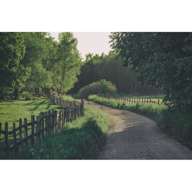 Tapete R16541 Wooden Fence - REBEL WALLS