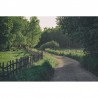 Tapete R16541 Wooden Fence - REBEL WALLS