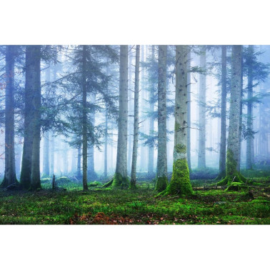 Tapete R16661 Blue Forest - REBEL WALLS