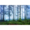 Tapete R16661 Blue Forest - REBEL WALLS