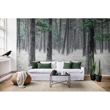 R13711 Floresta de pinheiro