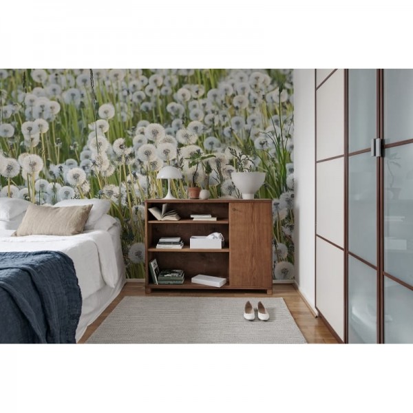 Papel Pintado R16351 Dandelions - REBEL WALLS