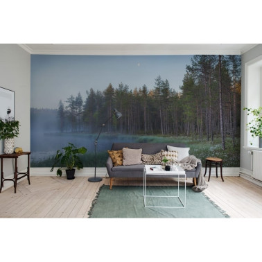 R16421 Lago Florestal