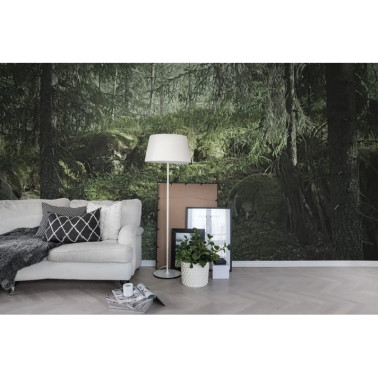 R16531 Floresta virgem