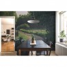 Tapete R16541 Wooden Fence - REBEL WALLS