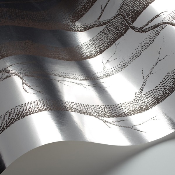 Papel Pintado Woods 69-12150 - COLE and SON