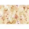 Carta da Parati COFFEINE GL5058A - GLAMORA