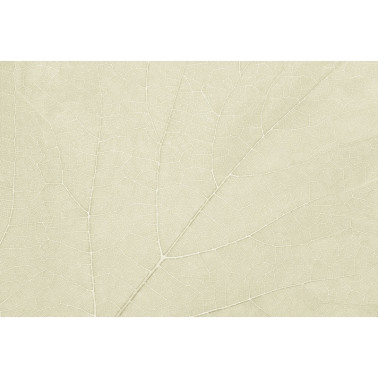 Papier peint FOUR SEASONS GL2033B - GLAMORA