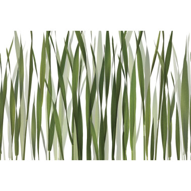 Carta da Parati GREENFIELDS GL2011A - GLAMORA