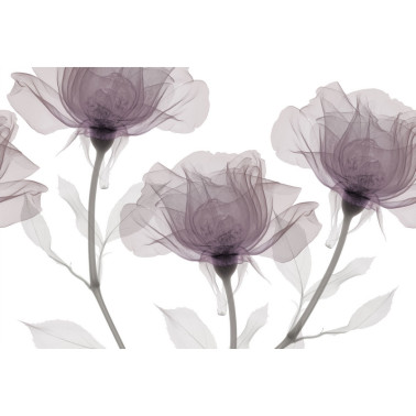 Papier peint INNER SENSE GL1032B - GLAMORA