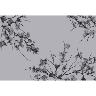 Tapete KOREAN BLOSSOM GL4012A - GLAMORA