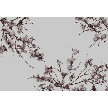 Carta da Parati KOREAN BLOSSOM GL4014A - GLAMORA