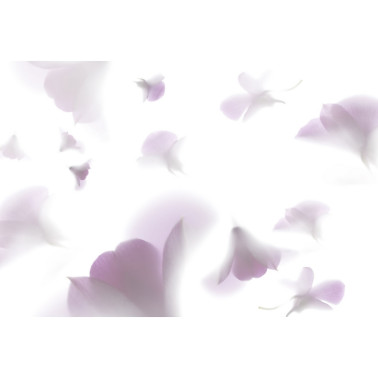 Carta da Parati PINK RHAPSODY GL1061A - GLAMORA