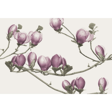 Papel de parede SOULANGE GL4043B - GLAMORA