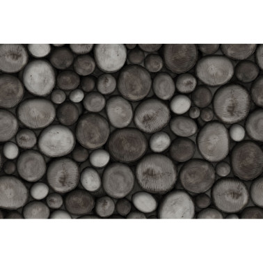 Papier peint WILDWOOD GL5472A - GLAMORA
