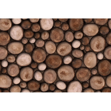 Papier peint WILDWOOD GL5474A - GLAMORA