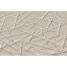 RAQUETTE GLX41B