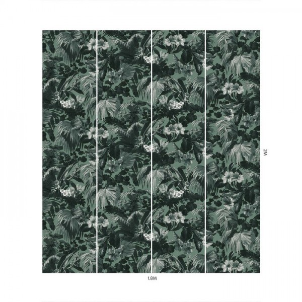 LIMERENCE FERN