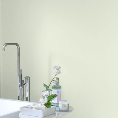 PEINTURE RAISIN CONGELÉ N° 88
