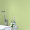 GREEN MELON NO. 102 PAINT