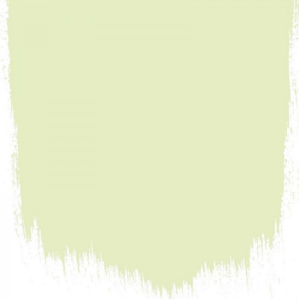 WILLIAMS PEAR NO. 111 PAINT WILLIAMS PEAR NO. 111 PAINT