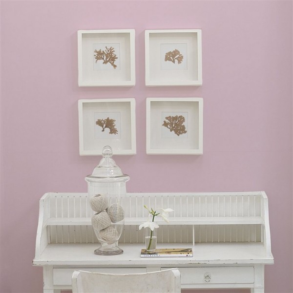 FADED BLOSSOM NO. 145 PAINT
