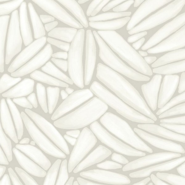 Succulente TP301 01 Succulente TP301 01