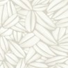 Succulente TP301 01