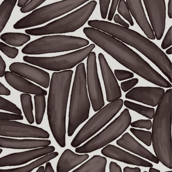 Succulente TP301 02 Succulente TP301 02