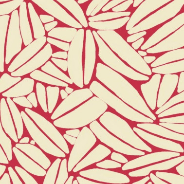 Succulente TP301 05