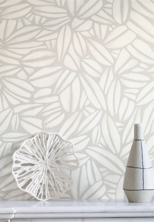 Succulente TP301 01