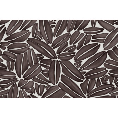 Succulent TP301 02
