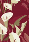 Arum TP304 04