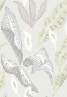 Fleur de lune TP305 01